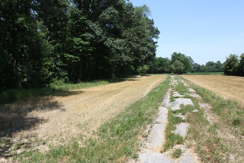 Property photo 13 - AUCTION POSTPONED